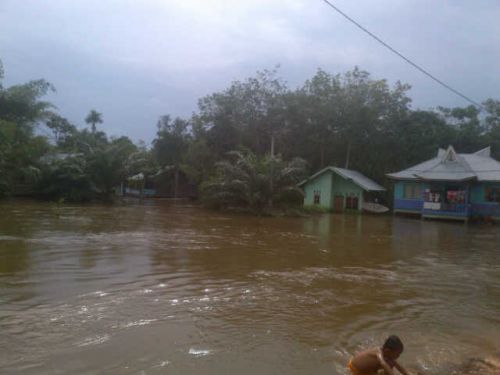 Bupati Pelalawan Minta BPBD Waspadai Sejumlah Titik Rawan Banjir 